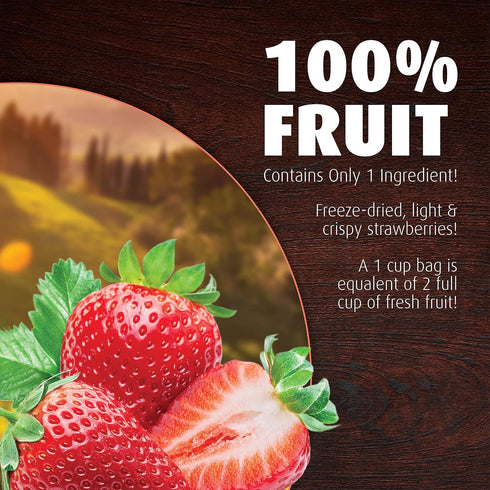 1 Oz (Pack 8), 100% Brothers All Natural Freeze Dried Fruit Crisps, Strawberry, of Made with Fruit, Gluten Free, Soy