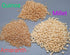 4-Pack 2oz Paktli Organic Alegra Bites White Chocolate Covered Ancient Grains, Four Bags, Organic Amaranth, Quinoa