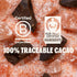 6 (2.1oz TCHO Dark Chocolate Gift Box | Plant Based, Organic & Fair Trade Dark Chocolate Bars | Non GMO, Non-Dairy
