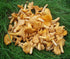 3 Forest Food Shop Dried Chanterelle Mushrooms Ounce Handpicked from Wild Forests, Air-Dried Mushrooms, Sourced by a
