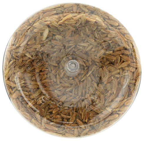 365 1.48 oz by Whole Foods Market, Cumin Seed