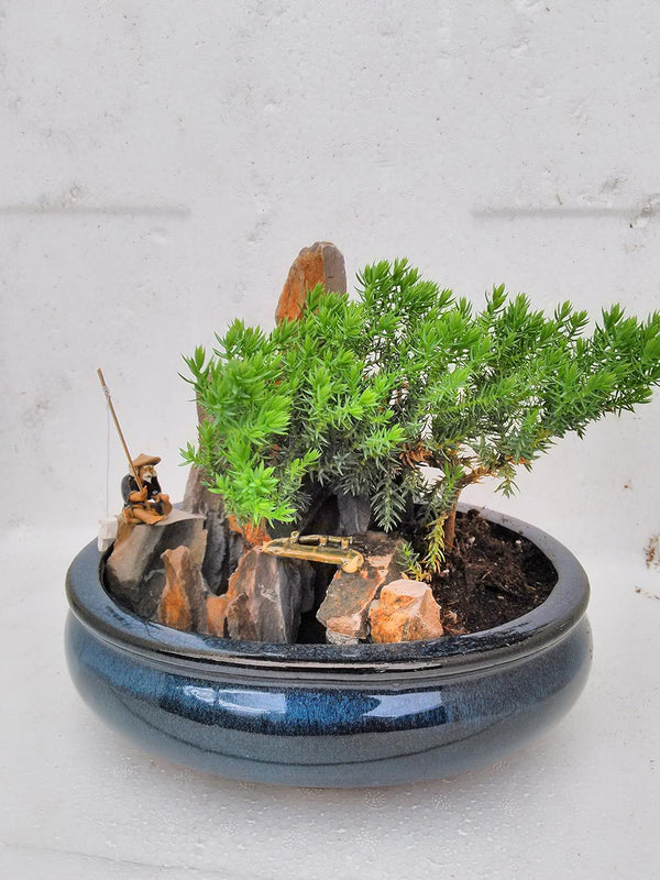 jmbamboo -bonsai- Juniper Tree Zen Garden With Pool Fishman