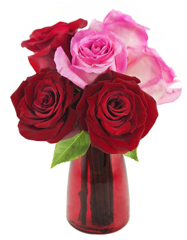 Kabloom Prime Next Day DELIVERY - Mothers Day Collection - Serendipity Pink