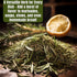 5oz Dried Rosemary Leaves Whole Rosmary Herb for Cooking, Tea, Hair Rinse & Seasoning Romero Seco, Dry Rosemarry