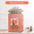 50 Brew La La Organic Green Tea - Natural Ginger Peach Flavor - Double Chambered Tea Bags - Low Caffeine - USDA