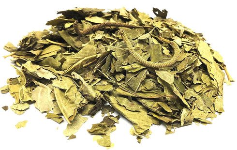 CIK Naturals Pack (90g) 100% Matico Tea Herbal - Hierba Matico Value Piper aduncum Herb Natural Caffeine Free Tea