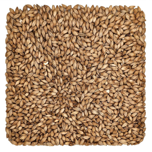 10 lb Golden Promise Malt