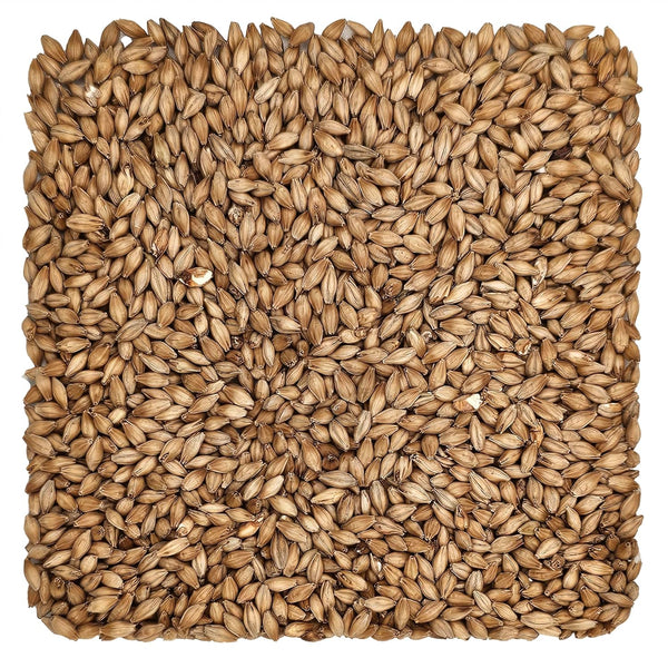 10 lb Golden Promise Malt