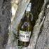500 ml, 16.9 oz Extra Virgin Olive Oil, KORVEL, glass bottle Amphora fl