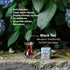 Set, Set 3.35 Oz (Pack 3) Lazika Loose Leaf Tea Black Tea, Green Tea, Earl Grey, Tea Gift for Tea Lovers