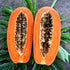 2 Lbs Anna and Sarah, Unsulphured Tropical Dried Fruit Mix Pineapple Tidbits, Mango Slice and Papaya Chunk, Un Non GMO