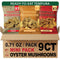 BITETUOSO Tempura Oyster Mushrooms Mini Variety Pack, Tempura-Style Mushroom Snack, Ready-to-Eat Crispy
