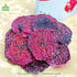 200 Si Gn Fruit - Soft Dried Dragon Fruit, No Sugar Added Healthy Soft Dried Dragon Fruit Snack For Kids And Adults