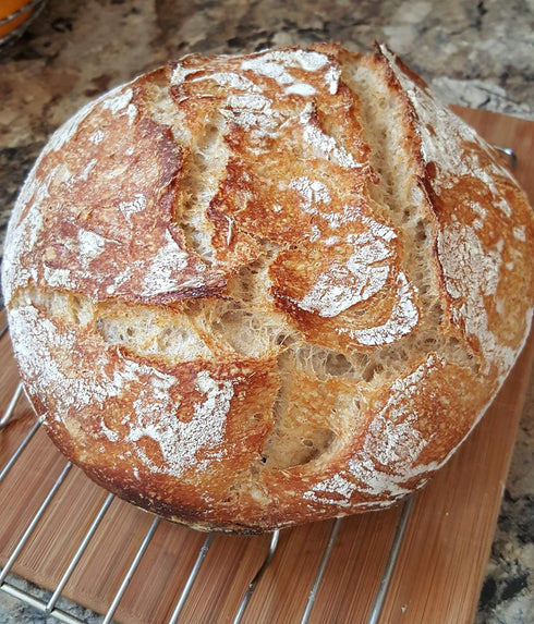 Anything Healthy, LLC San Francisco Sourdough Starter - Dehydrated, Dried Sourdough Starter for Baking Bread- Sour
