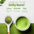 Matcha Wellness Organic Matcha Powder, 3.5oz Culinary Grade from Kyoto – Authentic Green Tea for Lattes