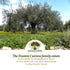 2022/23 24.5 Oz (Pack 1) Frantoi Cutrera - Segreto Degli Iblei - Extra Virgin Olive Oil - Sicilian D.O.P Certified