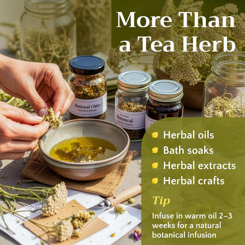 2oz Dried Yarrow Flowers Tea - Natural Yarrow Flower Herb Bulk - Achillea Millefolium Herbs - Loose Leaf Cut