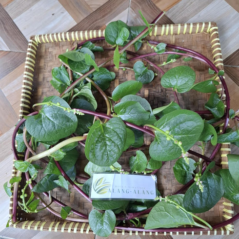 Generic Alba) (30 Daun Gendola (Basella Malabar Spinach Dried Leaves gram)