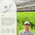(1.76oz/50g) Senbird Premium Gyokuro - Japanese Shade Grown Green Tea - From Kyoto Japan - Imperial Loose Leaf Green