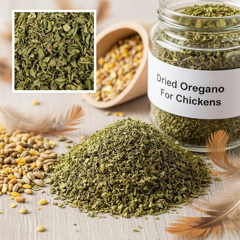 6 lbs 96 oz Oregano - Chicken Nesting Herbs, Bulk Oregano Seasoning Dry Leaf - Despensa Colombiana