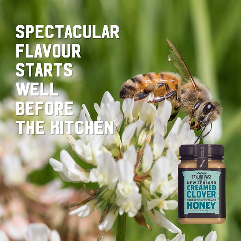 1 lb 1.6 oz Taylor Pass Honey Co Creamed Clover Honey | Raw Creamed New Zealand Honey | Naturally Sweet & Velvety |