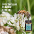1 lb 1.6 oz Taylor Pass Honey Co Creamed Clover Honey | Raw Creamed New Zealand Honey | Naturally Sweet & Velvety |