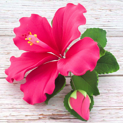 Global Sugar Art Hibiscus Sugar Cake Flower Spray, Hot Pink Hawaiian Cake Flower, 1 Count by Chef Alan Tetreault
