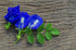 Bluechai Butterfly Pea Flower Powder, 100% Blue Matcha, Natural Blue Food Coloring for Beverages and Cakes