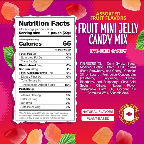 24 Packs Gummies Fruit Jelly Candy | | Dye Free Candy Individually Wrapped | Vegan with Real Fruit Puree | Assorted