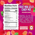 24 Packs Gummies Fruit Jelly Candy | | Dye Free Candy Individually Wrapped | Vegan with Real Fruit Puree | Assorted