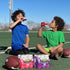 8 Oz 24 Count (4 Packs 6), Mott's Active Blastin' Berry Hydrating Juice Beverage, Fl Bottles, Of Made With Naturally