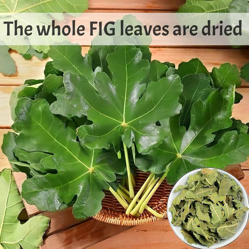 GXXDMZAQ 2.12oz (60g) Premium Dried Whole Fig Leaves - Bulk Loose Leaf Tea | Sun-Dried, Non-GMO, Caffeine-Free, Natural