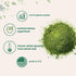 1 Sustainably US Grown, Organic Spinach Powder, Pound, Freeze Dried from Whole Leaf, Rich in Beneficial Thylakoids