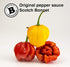 Bertie's Original Pepper Sauce (10 Oz/300ml) | Made with Trinidad Moruga Red & Scotch Bonnet Peppers | Great Flavor &