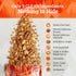 11 OZ Ladera Almond Pecan Granola - Low Sugar Artisanal Breakfast Cereal, Gluten Free & Vegan, Honest Ingredients