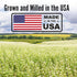 5 LBS Buckwheat Flour | | Premium Quality Organic | Medium Dark | Fine Grind