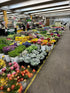 20 Next day delivery Yellow Tulips Fresh Cut Flowers Wheat Field Bouquet Gifts for home decoration birthdays friendship