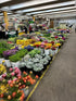 20 Next day delivery White Tulips Fresh Cut Flowers Wheat Field Bouquet Gifts for home decoration birthdays friendship