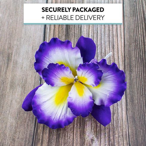 1 Count Global Sugar Art Dutch Iris Sugar Cake Flowers, Purple with Yellow Center by Chef Alan Tetreault