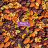 3 40 Oz Nature's Garden Omega Deluxe Mix - Healthy Trail Mix, Power Up, Heart Healthy, Gluten Free, Cholesterol Free