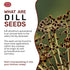 Spicy World 5 Dill Seeds Pounds Bulk (Suva)