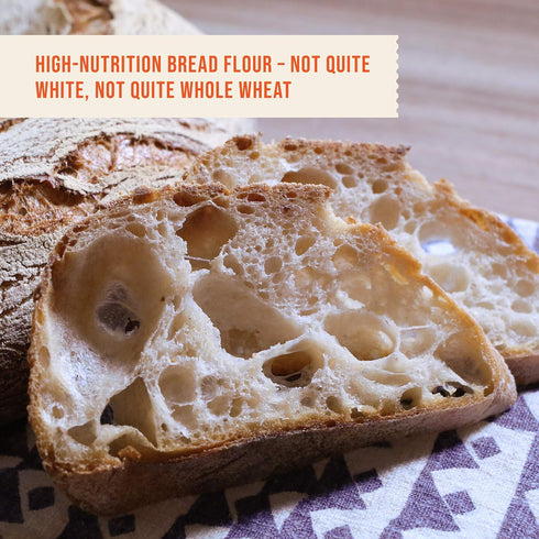 100% 5 Organic Old World Flour - Flour for Baking - Pounds