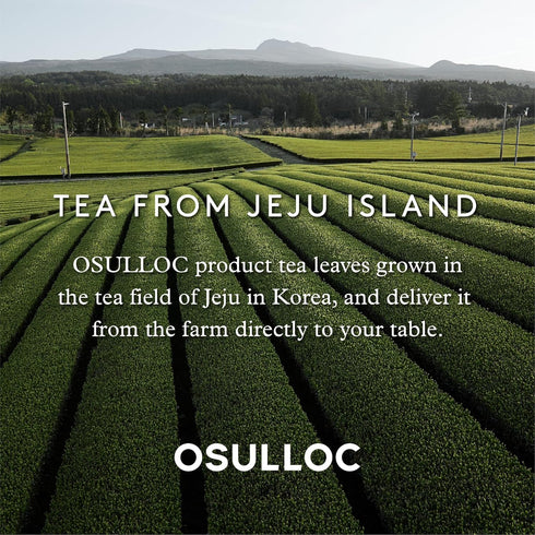 OSULLOC Tangerine Tea, Fresh Jeju Tangerine Flavor, Premium Fruit Tea Blend Teabags, 20 Count