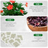TeaDreamTea Hibiscus Tea Bags - 100 Bleach-Free, Caffeine Free Dried Hibiscus Flowers for Hot or Iced Herbal Tea