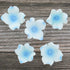 36 Count Global Sugar Art Hydrangea Blossom Sugar Cake Flowers, White with Blue - Wired- by Chef Alan Tetreault