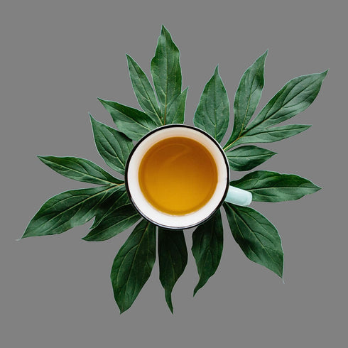 Vanilla Blossom Loose Leaf Flavored Black Tea - Caffeinated, Bulk 8oz, 80-100 Cups, The Spice Hut