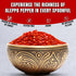 Turkish Goodies Aleppo Pepper, 4oz Authentic Pul Biber Red Chili Spice, Crushed for Mediterranean Cuisine