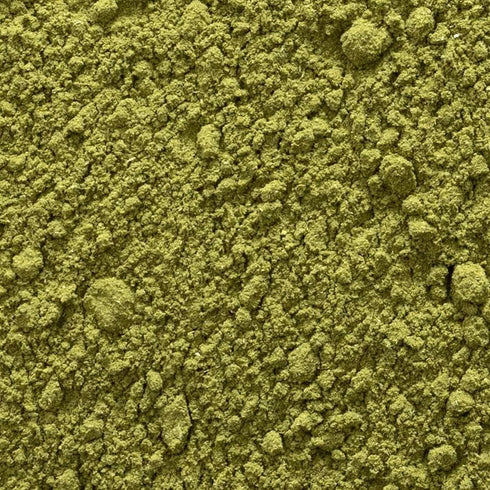 1 lb. Frontier Co-op Scullcap Herb Powder, Certified Organic, Kosher | Bulk Bag | Scutellaria lateriflora L.