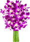 KaBloom - Bouquet of Purple Orchid without vase - Fresh Flowers for