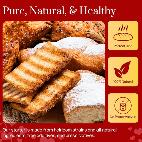100+ Mature Sourdough Starter Culture Years Old Dehydrated Sourdough Starter Kit for Delicious Homemade Sourdough Bread